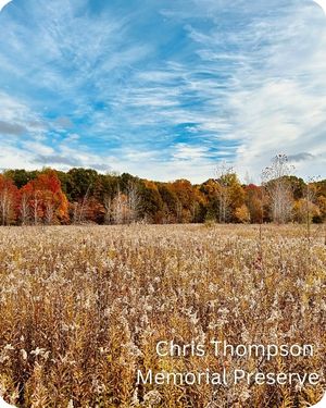 Harbor Country Michigan - Chris Thompson Memorial Preserve (1)