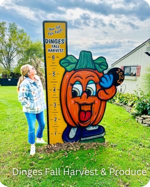 Harbor Country Michigan - Dinges Fall Harvest (2)