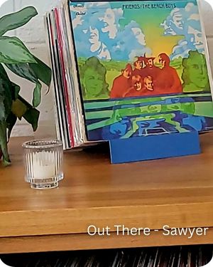 Harbor Country Michigan - Out There Sawyer Vinyl (1)