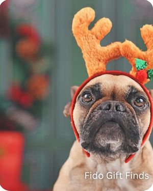 Discover Harbor Country Michigan Fido Gift Finds In Southwest Michigan