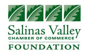 SVChamber Foundation Logo-02 (1) SVChamber Foundation Logo