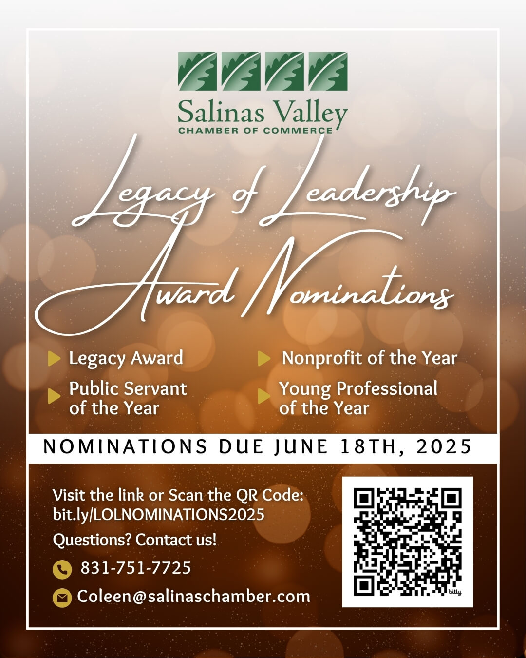 Nomination Flyer
