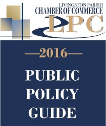 2016_Public_Policy_Guide_image_mediumthumb