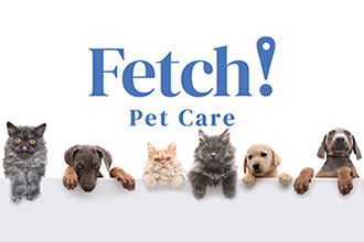 Member Spotlight - Fetch! Pet Care of Palo Alto