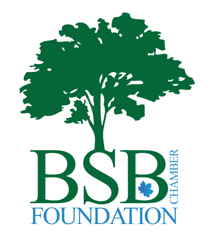 BSB logo