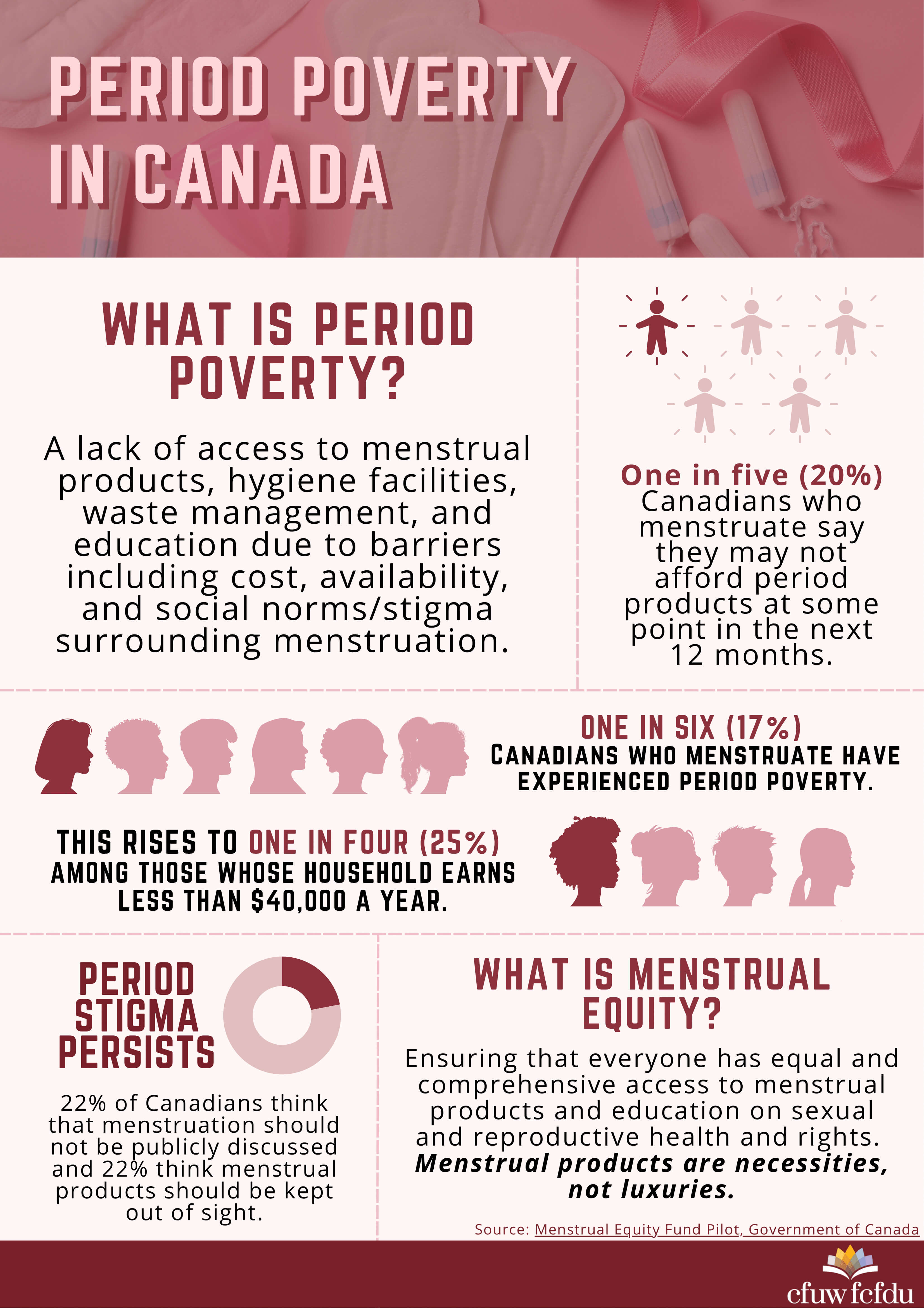 Period Poverty Infographic PNG