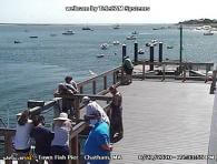 The Chatham Fish Pier, where you can see fresh fish coming in!