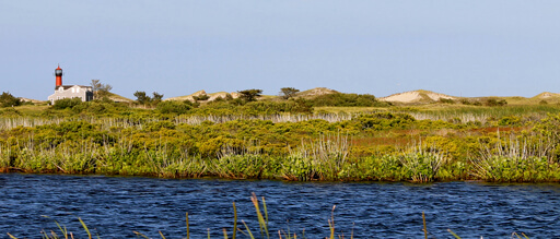 Check out Fisherman's Monument and the Monomoy National Wildlife Reserve.