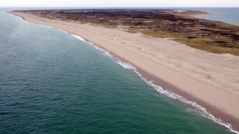 Monomoy Island Chatham MA