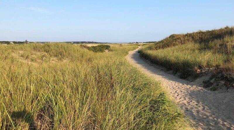 Hardings Beach trail