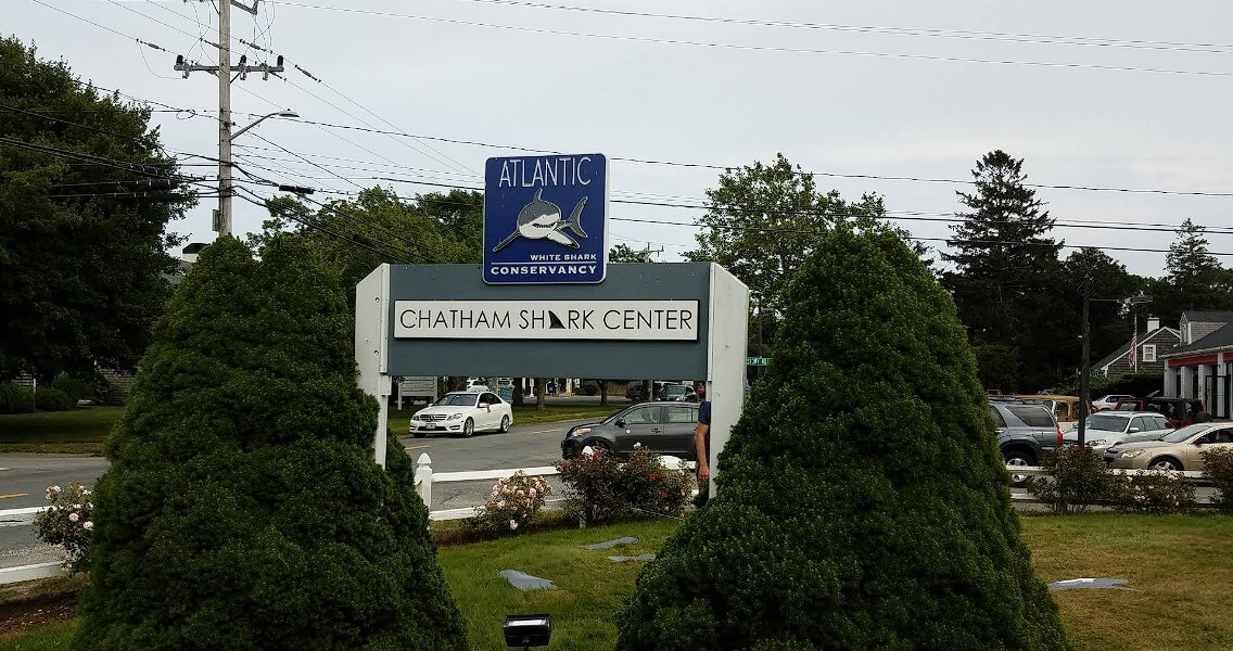 AWSC Shark Center Chatham
