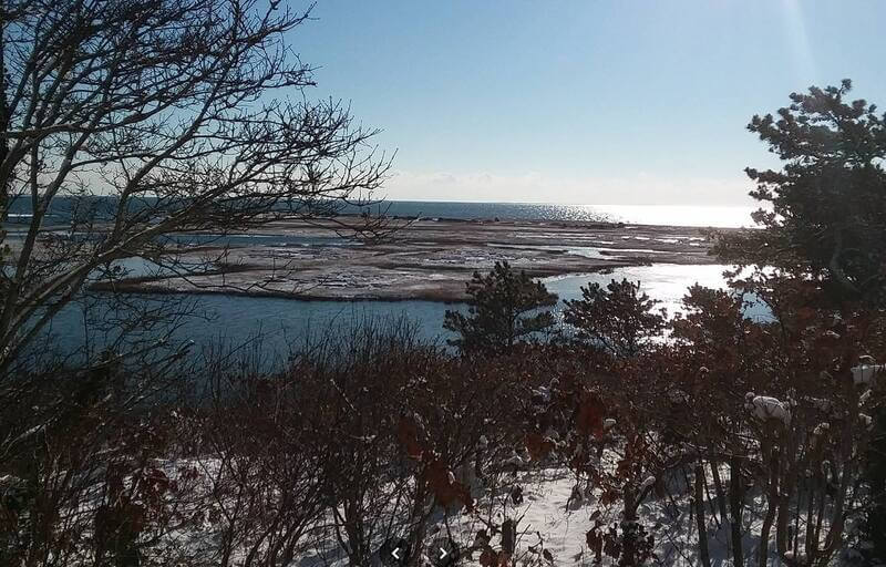 Forest Beach COnservation Area Chatham MA (1)