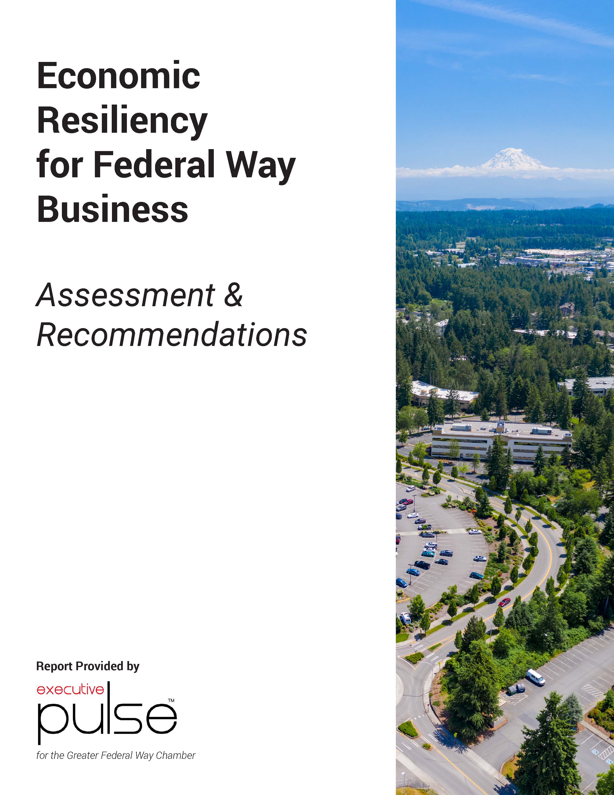 Economic Resiliency Assessment - Cover