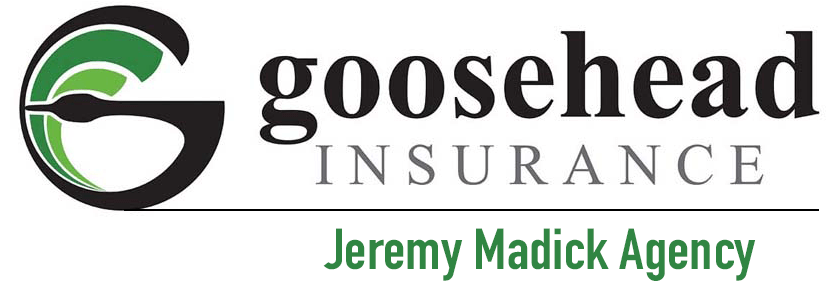 gooseheadJMA