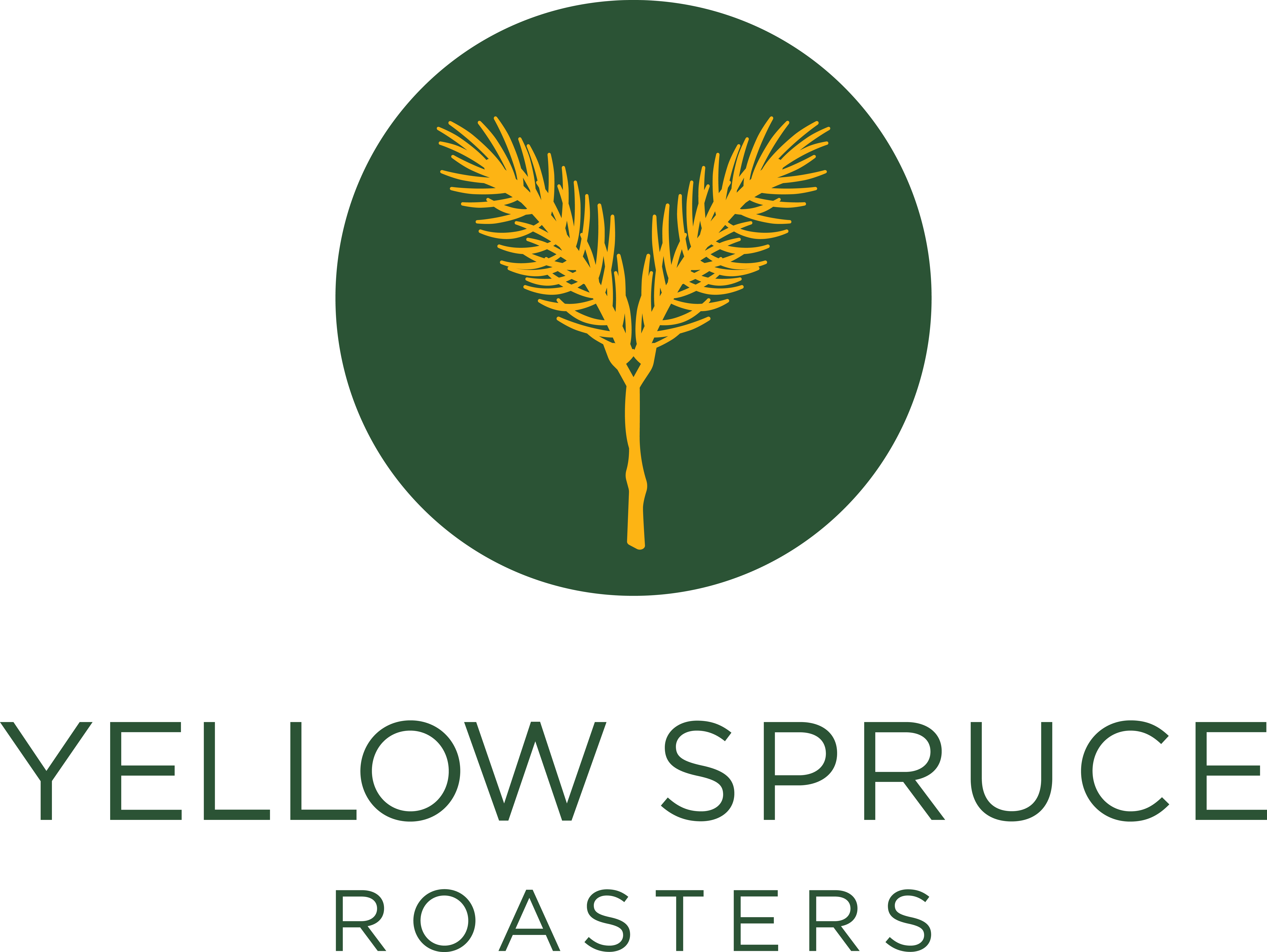 Yellow Spruce Roasters Color
