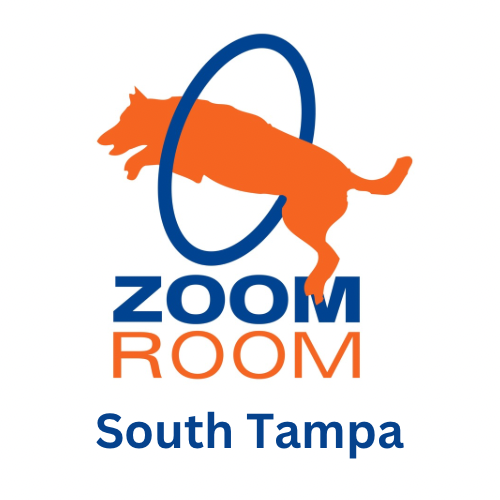 Zoom Room Ybor/ST