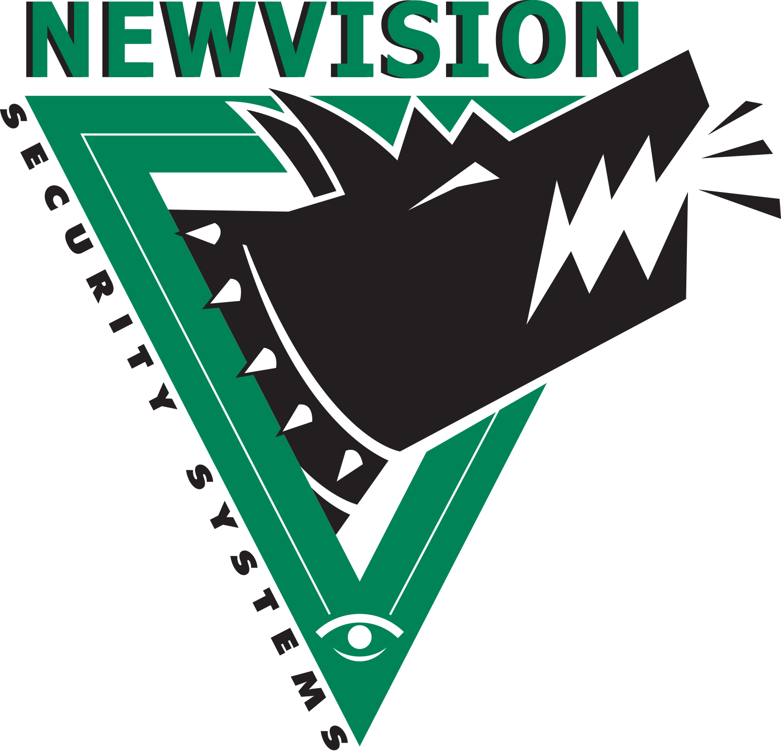 New Vision Security logo