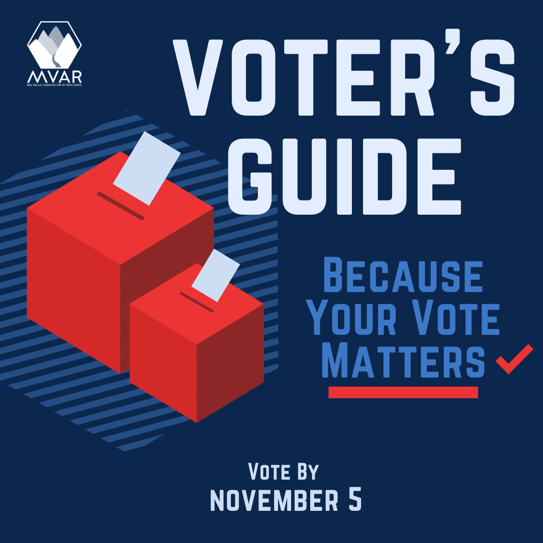 Voter's Guide Graphic