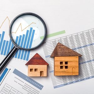 Real Estate Trends or Issues icon