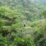 person ziplining in Monteverde Costa Rica