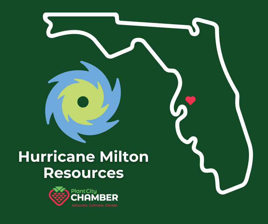 Hurricane Milton Resources