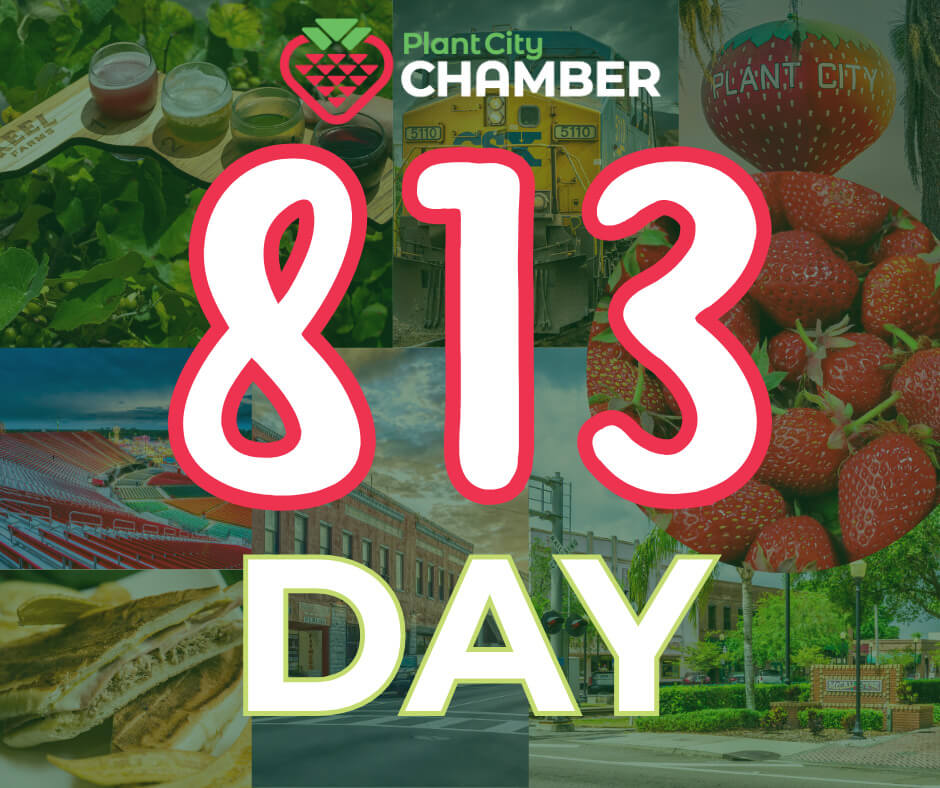 813 DAY (3) 813 DAY (3)