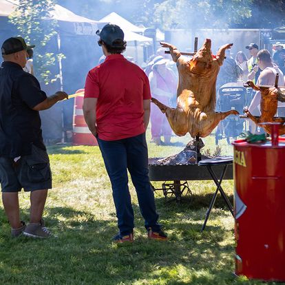 Sutherlin Throwdown