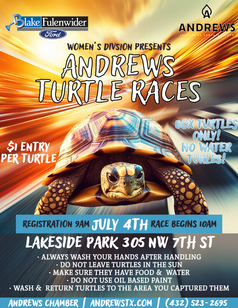 Turtle Racing flyer