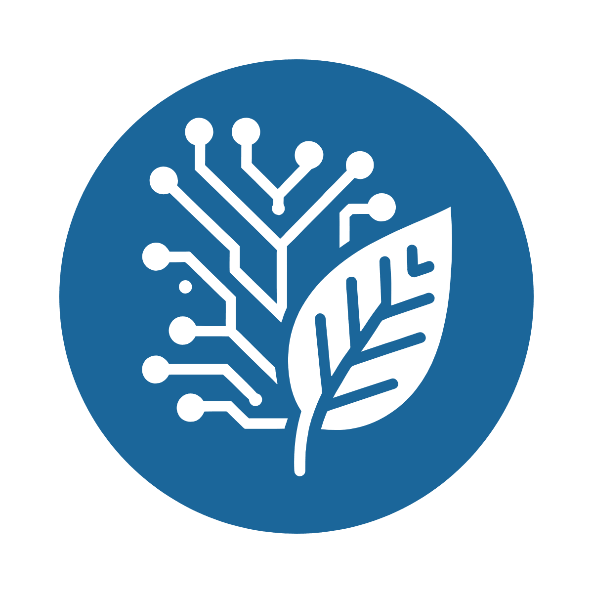Precision and Digital Agriculture