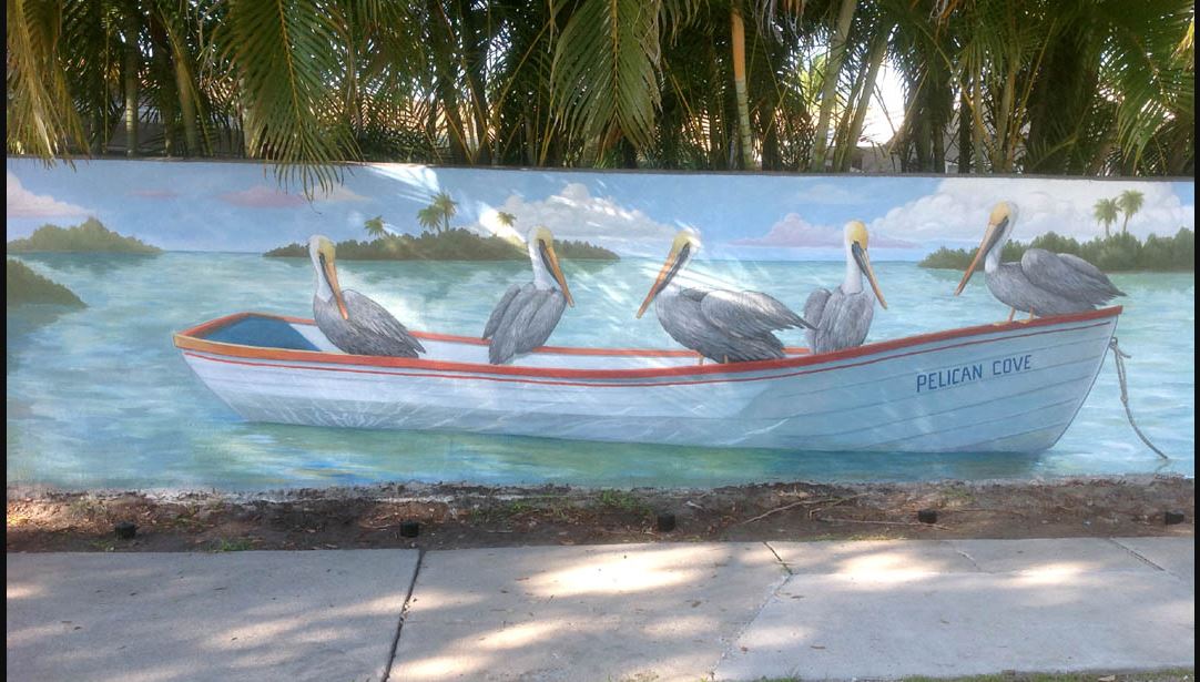 pelicans- carol