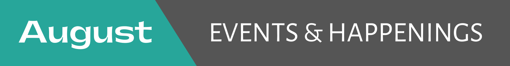 Banner Chamber Newsletter (4)