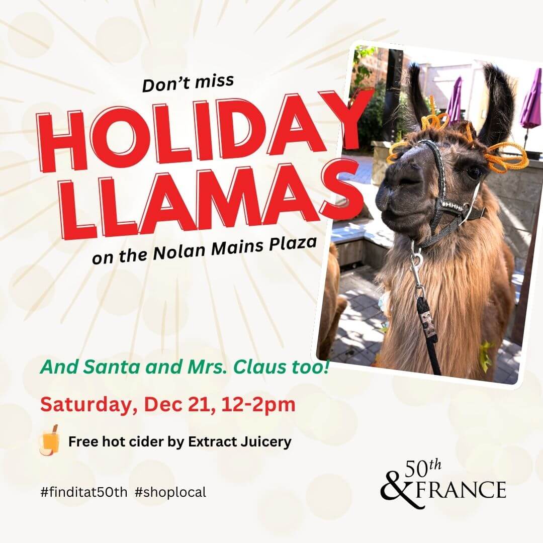 Llamas Holiday_WEB