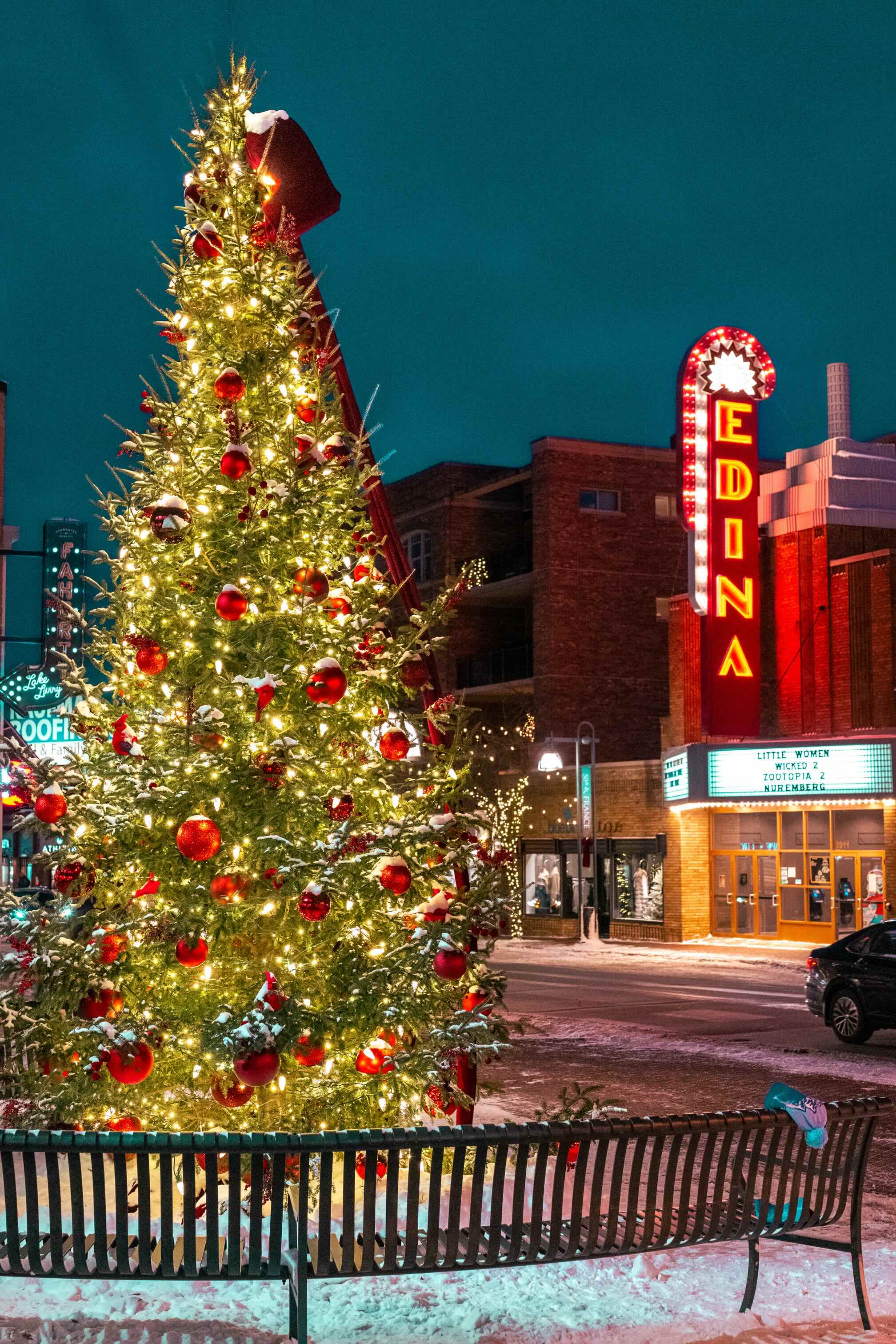 Holiday Tree at 50th and France