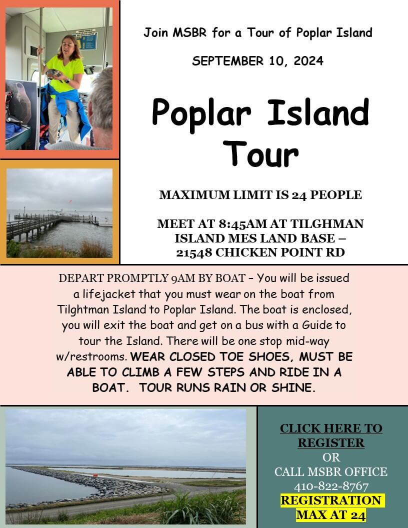 Poplar Island Flyer 2024
