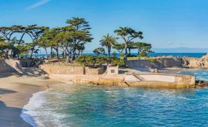 sunny day at the beach