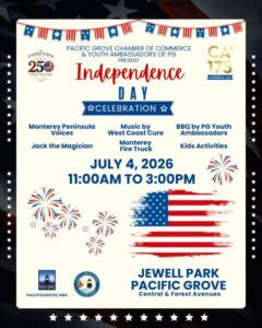 Independece day 2026 - web