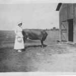 historic photo of woman and cow near a barn