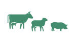 farm animal icon