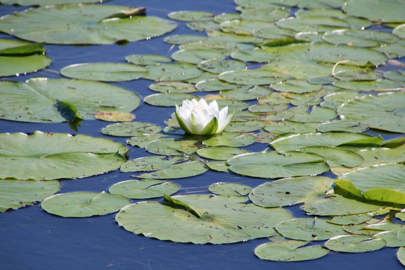 514368296_1138272958334613_7127888760884526383_n