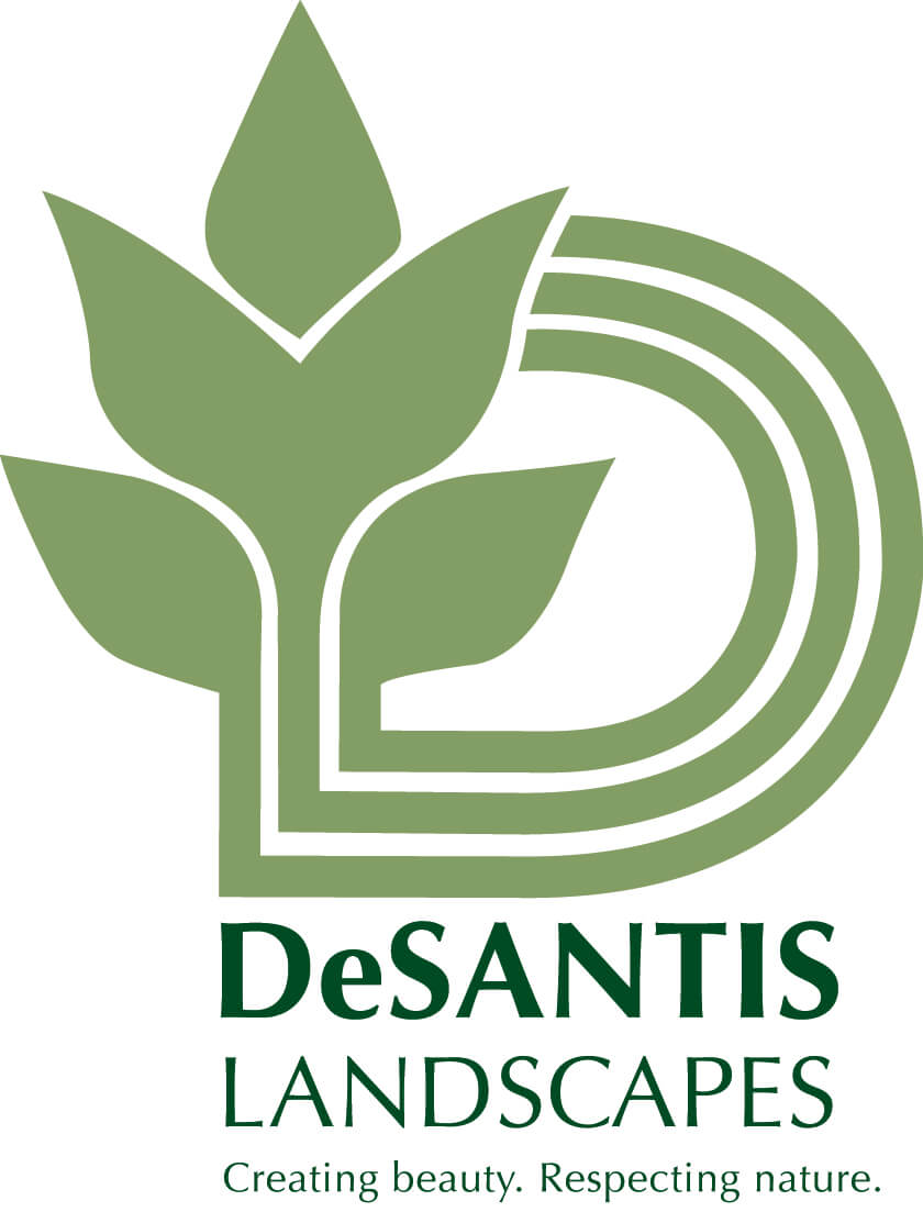 DeSantis