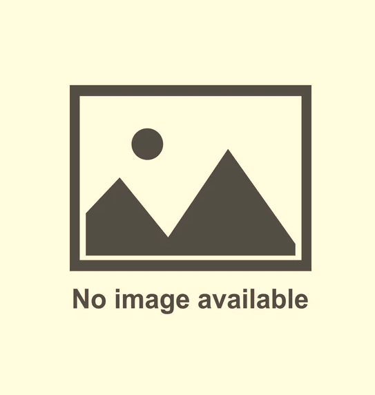 noimg noimg