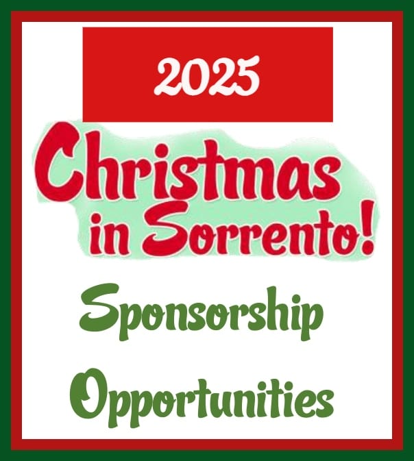 Sponsor Opps Side BOX - 2025