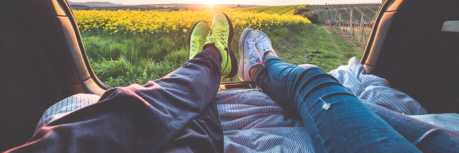 Picnic at a Field