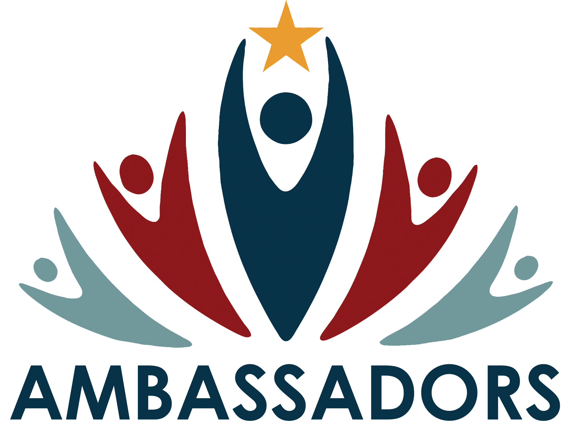 NEW Ambassadors logo