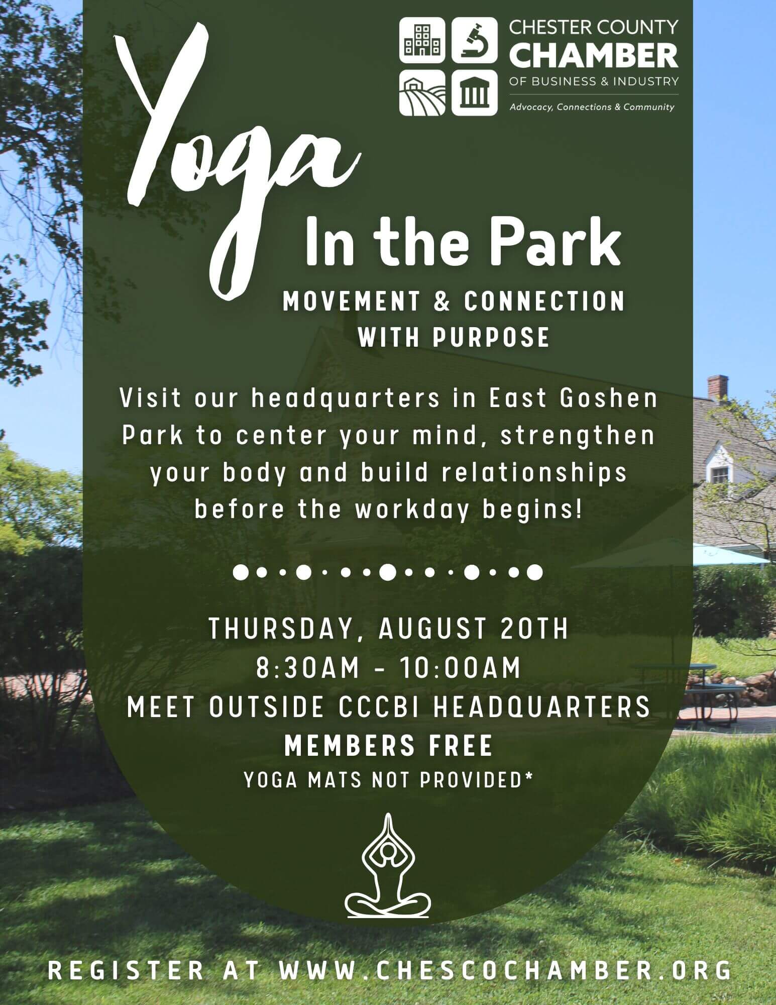 Yoga in the Park