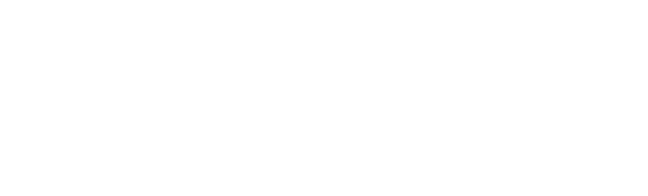 White Experience Burlington Logo White Experience Burlington Logo