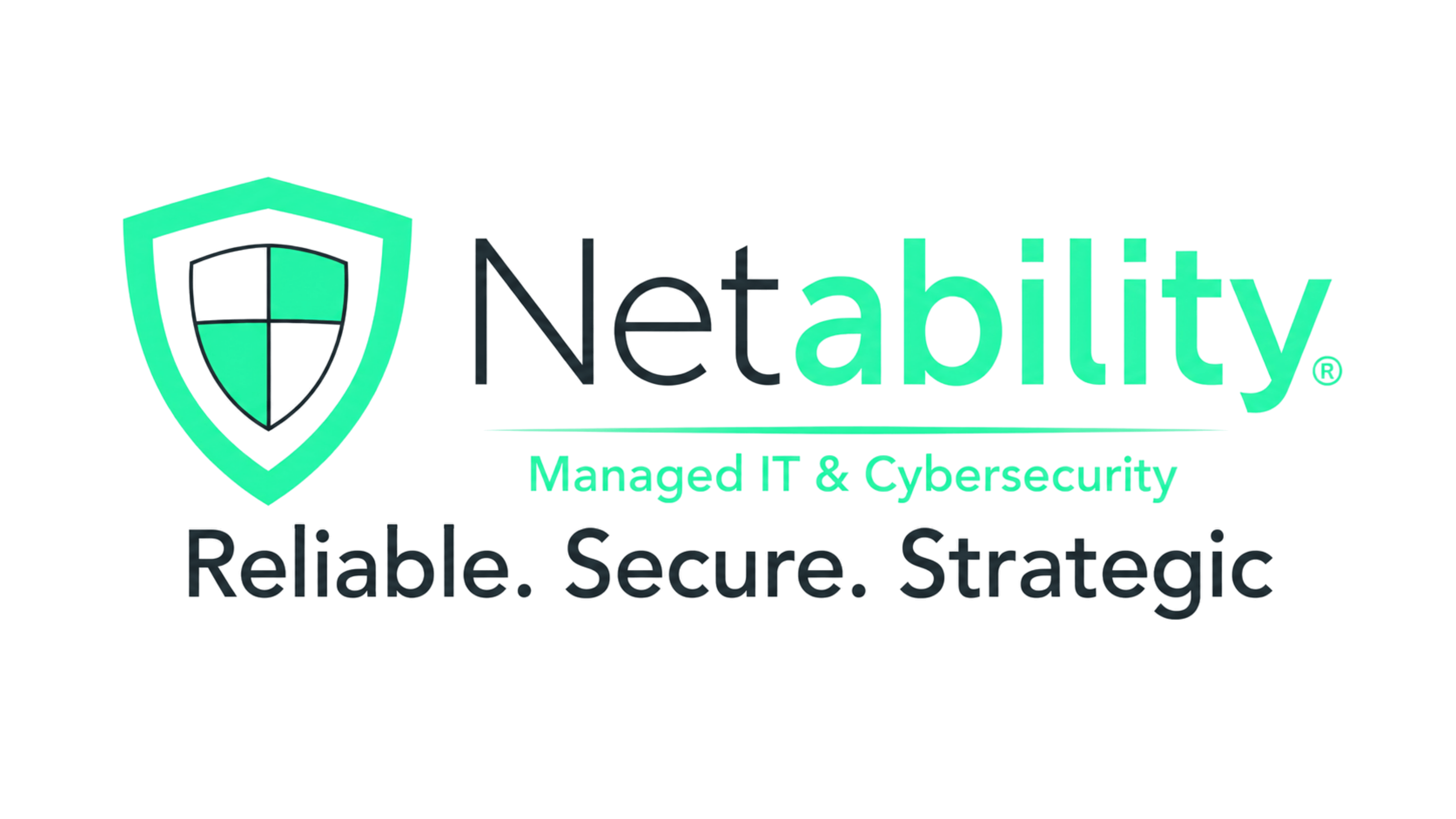 Netabilty Logo File (Transparent)