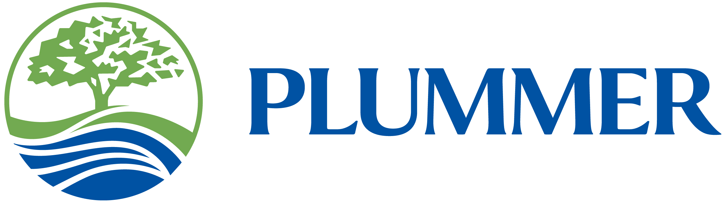 plummer logo