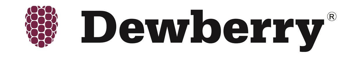 dewberry engineering logo