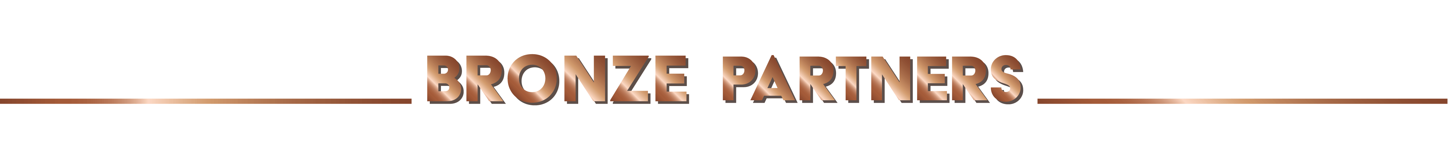 Bronze Partner Website Banner